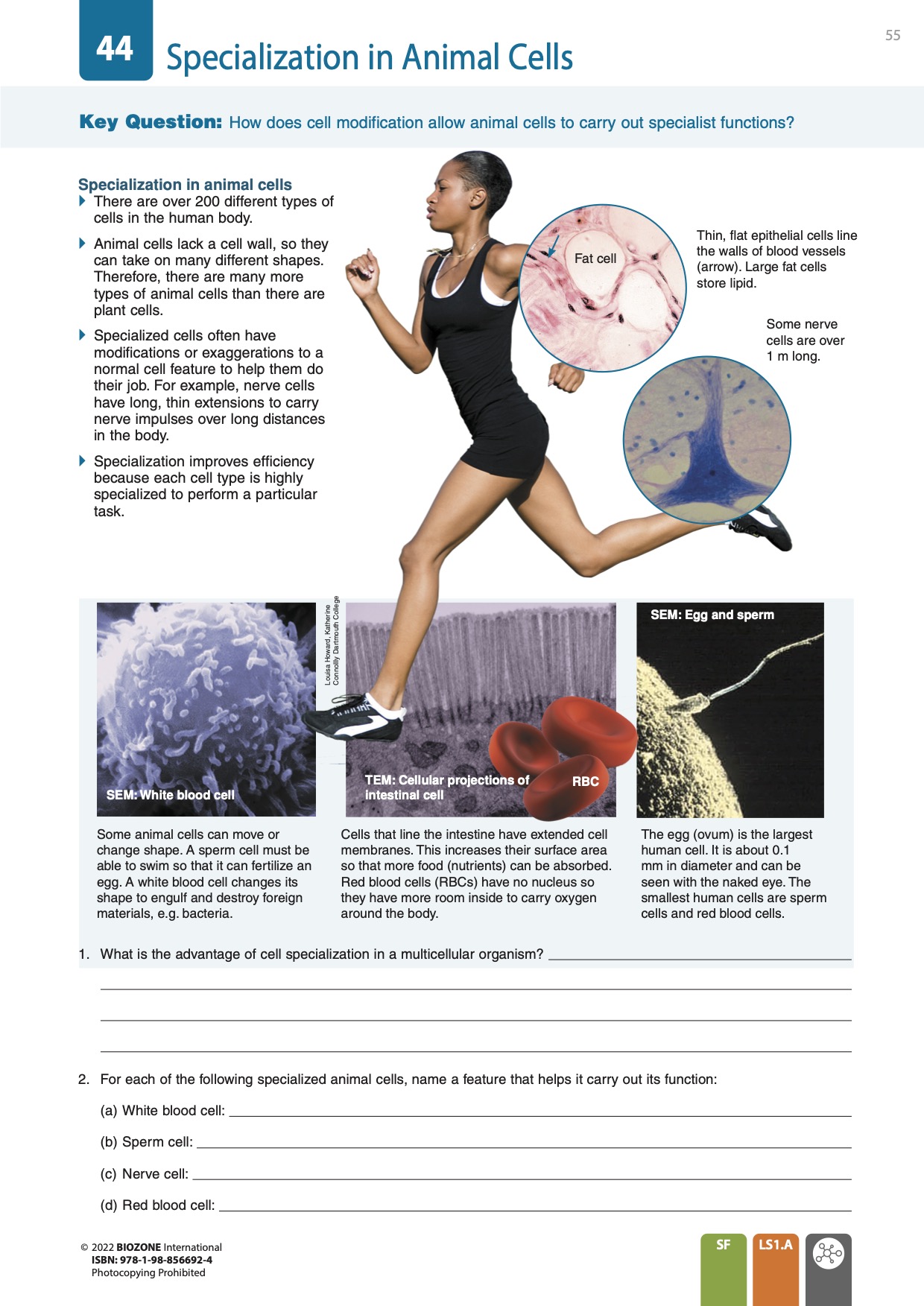 Biology for NGSS 2